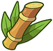 Sugarcane