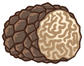 Truffle