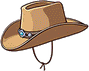 Stetson Hat